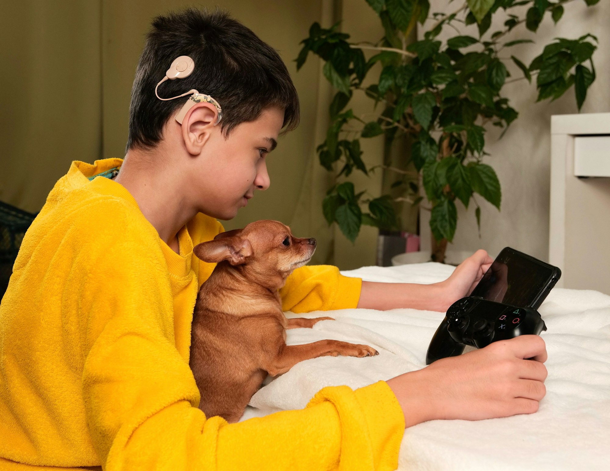 Imagen para Consejos y cuidados para Perros Aprendiendo sobre la sordera con nuestra peluda compañera