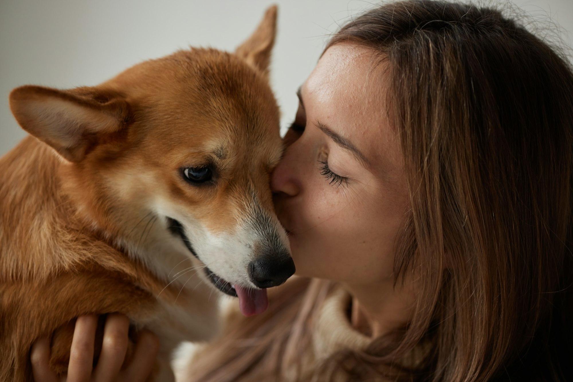 Imagen para Consejos y cuidados para Perros 8 Razas de perros menos conocidas pero llenas de cariño